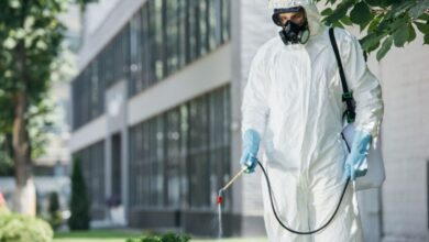 Πόσο κρισιμος είναι ο ρόλος των εταιρειών απεντόμωσης και αποφραξεων στα αστικά κέντρα 72 Απεντόμωση & Αποφράξεις Ο κρίσιμος ρόλος τους στα αστικά κέντρα