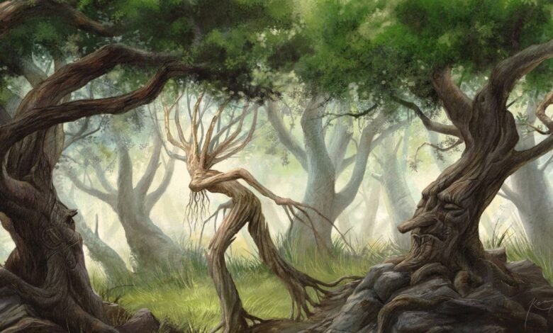 Δέντρα που ... περπατούν;! 69 Δέντρα που περπατούν; socratea exorrhiza